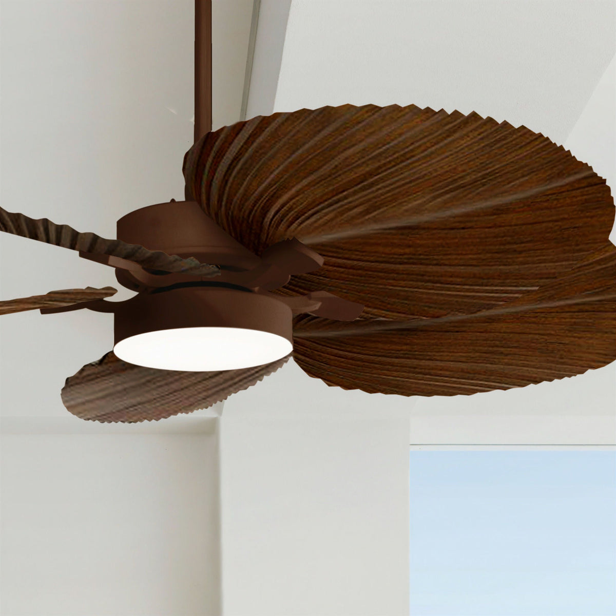 Bali Koa ORB 21065549 – Detail