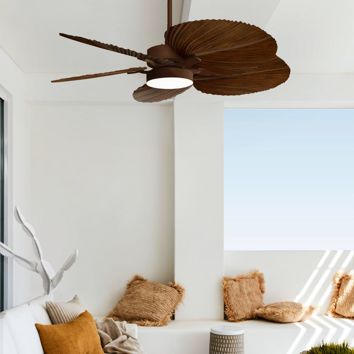 Bali Koa ORB 21065549 – Lifestyle/Hover
