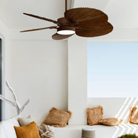 Bali Koa ORB 21065549 – Lifestyle/Hover