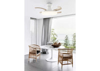 Ceiling fan Orbit, 91.5 cm ∅, 6 speeds, incl. LED bulb &amp; remote control