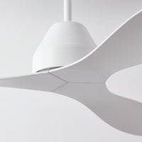 213040_DETAIL_1.jpg