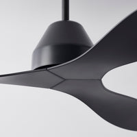 213041_DETAIL_1.jpg