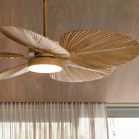 Bali Natural 21326849 – Detail